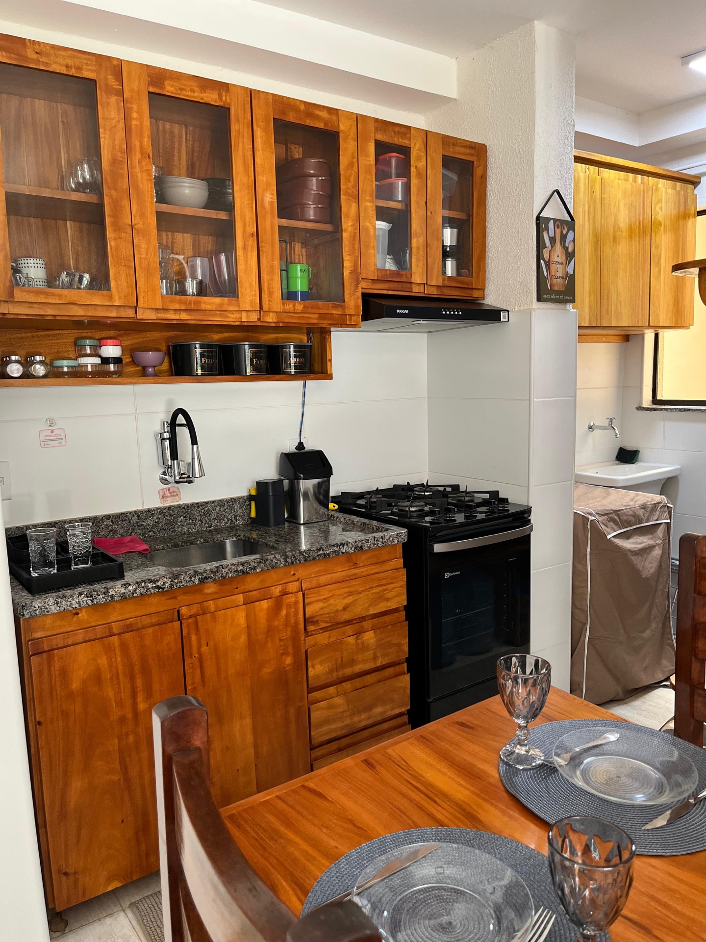 Kitchen stove and sink